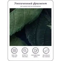 слайд 5