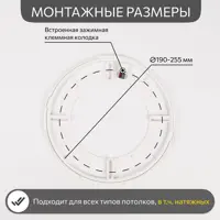 слайд 7
