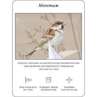 слайд 9
