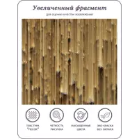 слайд 5