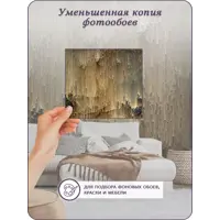 слайд 8