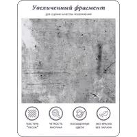 слайд 5