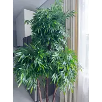 слайд 5