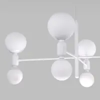слайд 5