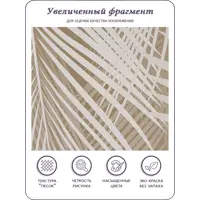 слайд 5