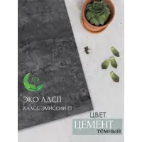 слайд 5