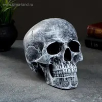 слайд 6