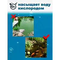 слайд 4