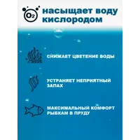 слайд 5