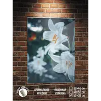 слайд 0
