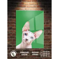 слайд 0