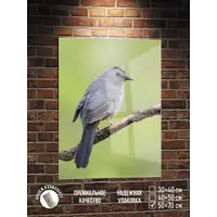 слайд 0