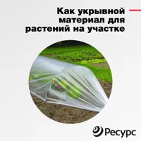 слайд 6