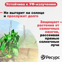 слайд 3