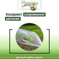 слайд 5