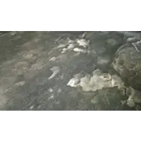 слайд 5