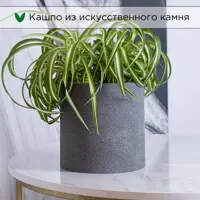 слайд 0