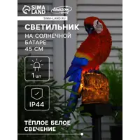 слайд 0