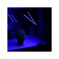 слайд 7