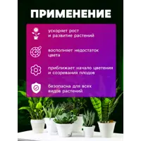 слайд 5