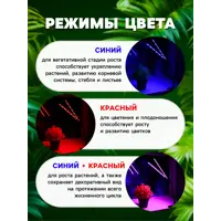 слайд 4