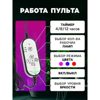 слайд 3