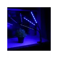 слайд 7