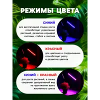 слайд 4