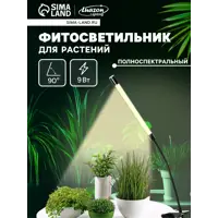 слайд 0