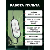 слайд 3