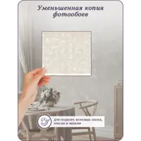 слайд 9