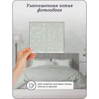 слайд 8