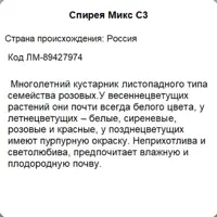слайд 5