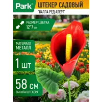 слайд 0