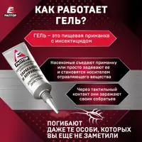 слайд 5