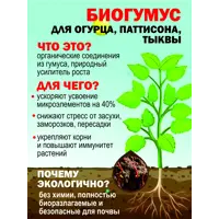 слайд 7
