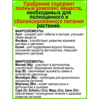 слайд 11