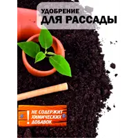 слайд 8