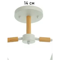 слайд 5