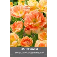 слайд 0