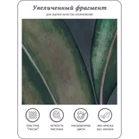 слайд 5