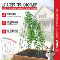 слайд 0