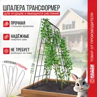 слайд 0