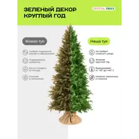 слайд 6