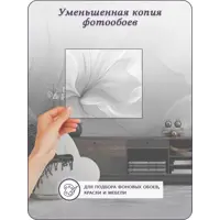 слайд 8