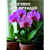 слайд 9