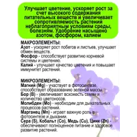 слайд 5