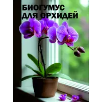 слайд 8
