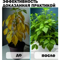 слайд 8