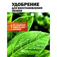 слайд 10